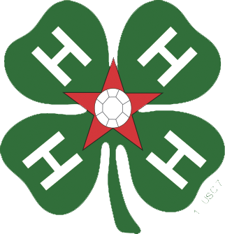 4-H All Stars Logo
